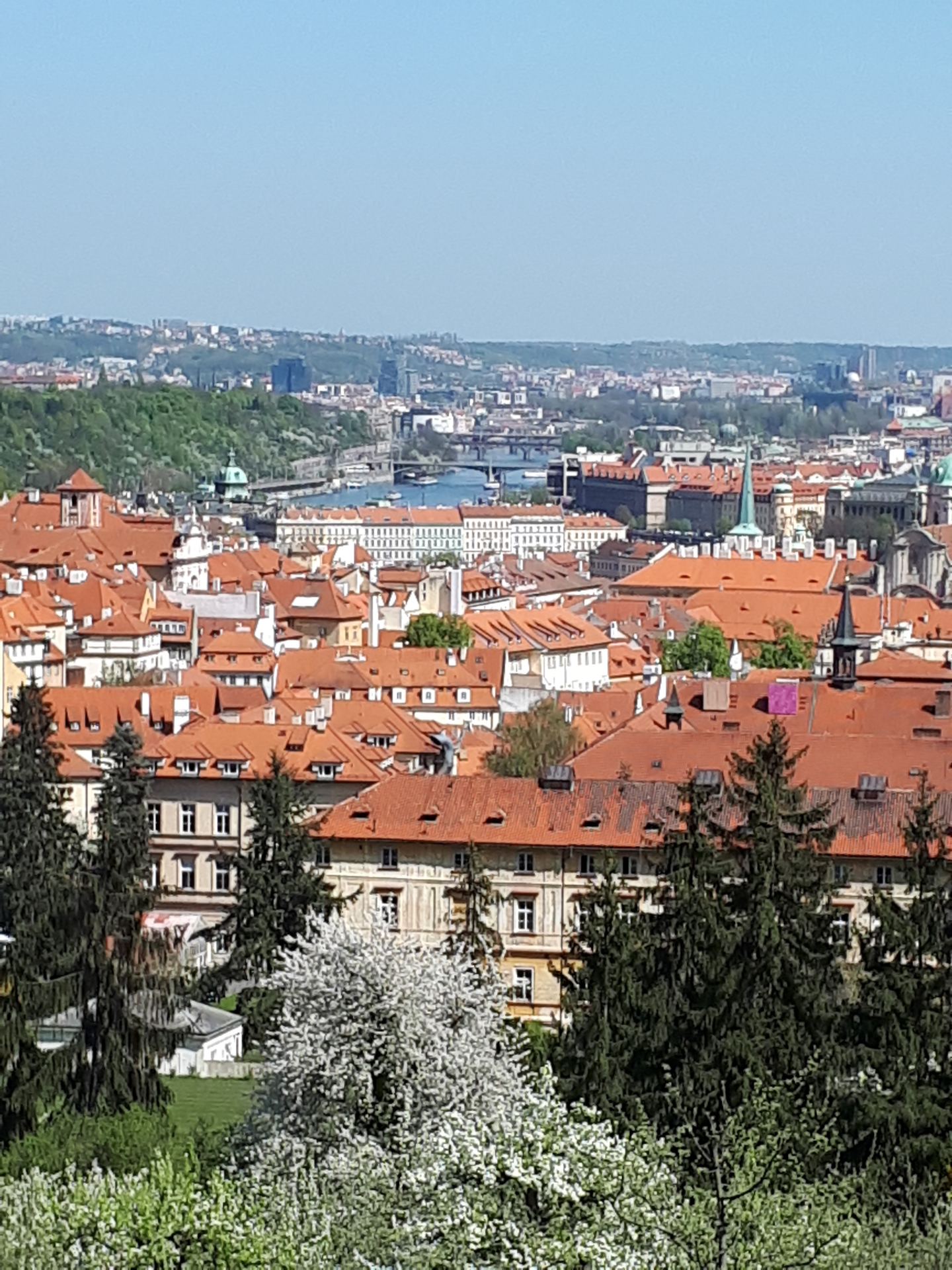 20180420_135011
